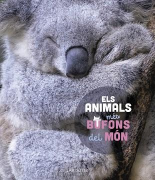 ELS ANIMALS MÉS BUFONS DEL MÓN | 9788419436184 | LEDU, STÉPHANIE | Llibreria Online de Banyoles | Comprar llibres en català i castellà online