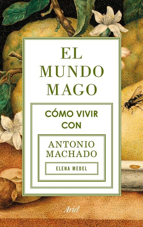 MUNDO MAGO, EL | 9788434422353 | MEDEL, ELENA | Llibreria Online de Banyoles | Comprar llibres en català i castellà online