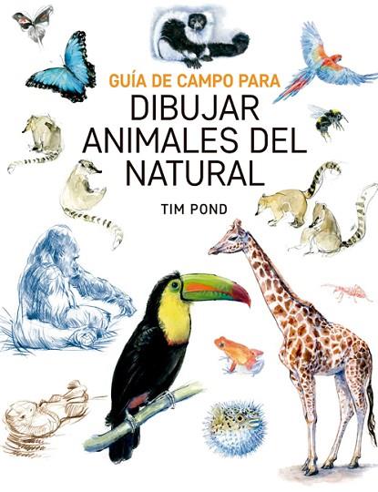GUÍA DE CAMPO PARA DIBUJAR ANIMALES DEL NATURAL | 9788415053828 | BOND, TIM | Llibreria Online de Banyoles | Comprar llibres en català i castellà online