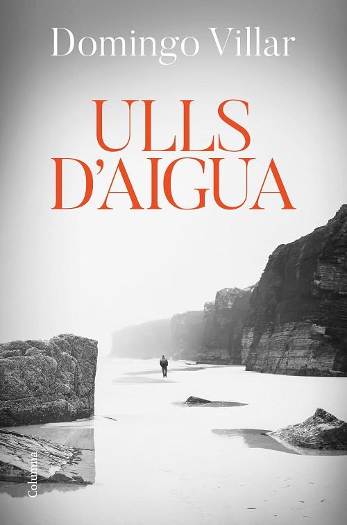ULLS D'AIGUA | 9788466426312 | VILLAR, DOMINGO | Llibreria Online de Banyoles | Comprar llibres en català i castellà online