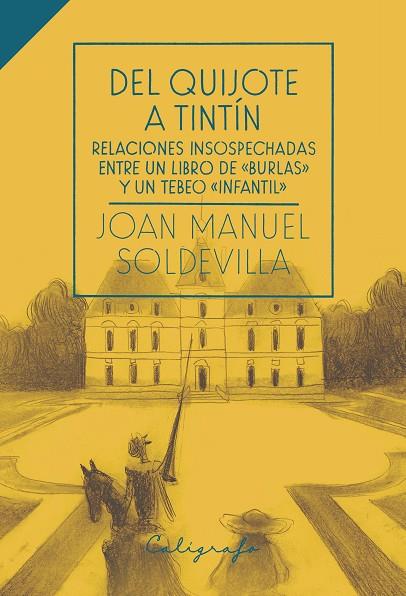 DEL QUIJOTE A TINTÍN | 9788412078282 | SOLDEVILLA ALBERTÍ, JOAN MANUEL | Llibreria Online de Banyoles | Comprar llibres en català i castellà online