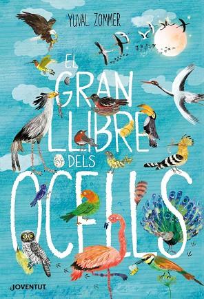 EL GRAN LLIBRE DELS OCELLS | 9788426145840 | ZOMMER, YUVAL | Llibreria Online de Banyoles | Comprar llibres en català i castellà online