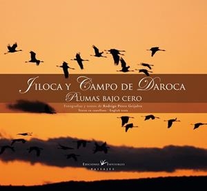 FILOCA Y CAMPO DE DAROCA | 9788493910600 | PÉREZ GRIJALVO, RODRIGO | Llibreria L'Altell - Llibreria Online de Banyoles | Comprar llibres en català i castellà online - Llibreria de Girona