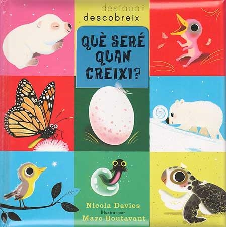 QUÈ SERÉ QUAN CREIXI? | 9788426139085 | DAVIS, NICOLA/BOUTAVANT, MARC | Llibreria L'Altell - Llibreria Online de Banyoles | Comprar llibres en català i castellà online - Llibreria de Girona