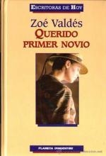 QUERIDO PRIMER NOVIO | 9788484503019 | ZOE VALDES | Llibreria L'Altell - Llibreria Online de Banyoles | Comprar llibres en català i castellà online - Llibreria de Girona