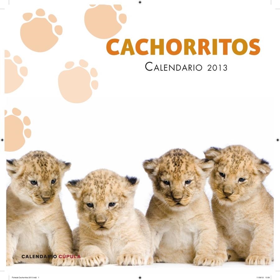 CALENDARIO CACHORRITOS 2013 | 9788448006655 | AA. VV. | Llibreria L'Altell - Llibreria Online de Banyoles | Comprar llibres en català i castellà online - Llibreria de Girona