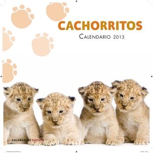CALENDARIO CACHORRITOS 2013 | 9788448006655 | AA. VV. | Llibreria L'Altell - Llibreria Online de Banyoles | Comprar llibres en català i castellà online - Llibreria de Girona
