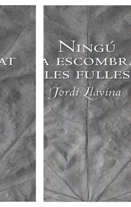NINGÚ HA ESCOMBRAT LES FULLES | 9788492406197 | LLAVINA, JORDI | Llibreria Online de Banyoles | Comprar llibres en català i castellà online