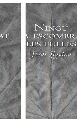 NINGÚ HA ESCOMBRAT LES FULLES | 9788492406197 | LLAVINA, JORDI | Llibreria L'Altell - Llibreria Online de Banyoles | Comprar llibres en català i castellà online - Llibreria de Girona