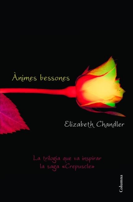 ÀNIMES BESSONES | 9788466415101 | CHANDLER, ELIZABETH  | Llibreria Online de Banyoles | Comprar llibres en català i castellà online