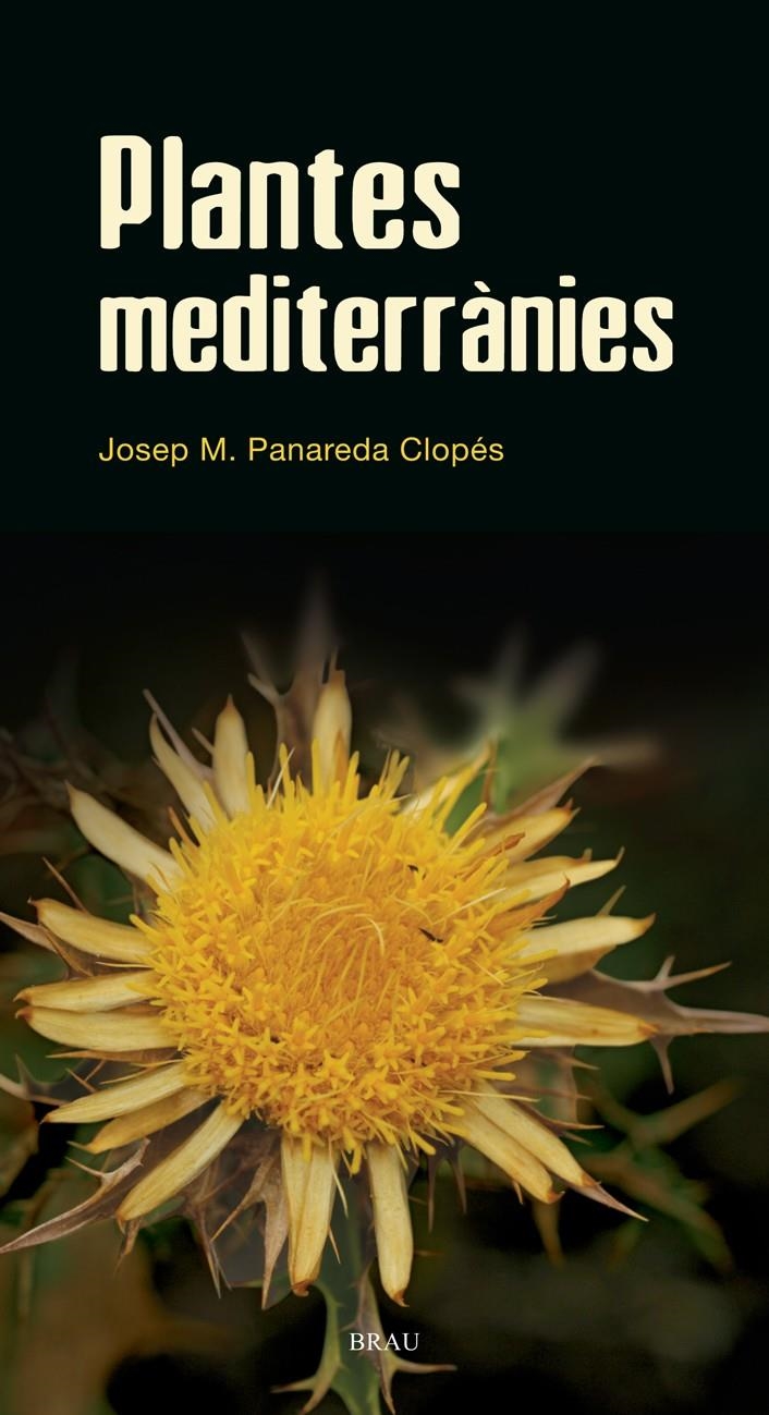 PLANTES MEDITERRÀNIES -FLORA CATALANA VOL. 2- | 9788496905528 | PANAREDA CLOPÉS, JOSEP M. | Llibreria L'Altell - Llibreria Online de Banyoles | Comprar llibres en català i castellà online - Llibreria de Girona