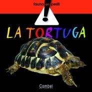 LA TORTUGA | 9788498253764 | * | Llibreria L'Altell - Llibreria Online de Banyoles | Comprar llibres en català i castellà online - Llibreria de Girona