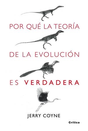 POR QUE LA TEORIA DE LA EVOLUCION ES VERDADERA | 9788498920222 | COYNE JERRY A | Llibreria L'Altell - Llibreria Online de Banyoles | Comprar llibres en català i castellà online - Llibreria de Girona