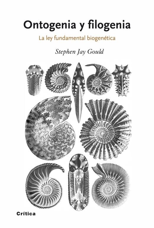 ONTOGENIA Y FILOGENIA | 9788498920628 | JAY GOULD, STEPHEN | Llibreria L'Altell - Llibreria Online de Banyoles | Comprar llibres en català i castellà online - Llibreria de Girona