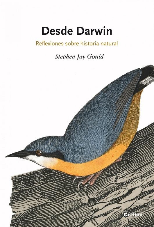 DESDE DARWIN, REFLEXIONES SOBRE HISTORIA NATURAL | 9788498920888 | JAY GOULD, STEPHEN | Llibreria L'Altell - Llibreria Online de Banyoles | Comprar llibres en català i castellà online - Llibreria de Girona