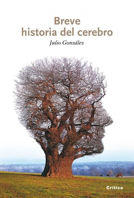 BREVE HISTORIA DEL CEREBRO | 9788498921151 | GONZÁLEZ ÁLVAREZ,JULIO | Llibreria L'Altell - Llibreria Online de Banyoles | Comprar llibres en català i castellà online - Llibreria de Girona