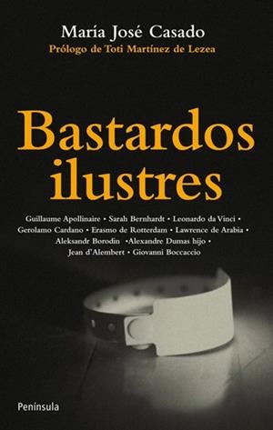 BASTARDOS ILUSTRES | 9788499421063 | CASADO RUIZ, MARÍA JOSÉ | Llibreria Online de Banyoles | Comprar llibres en català i castellà online