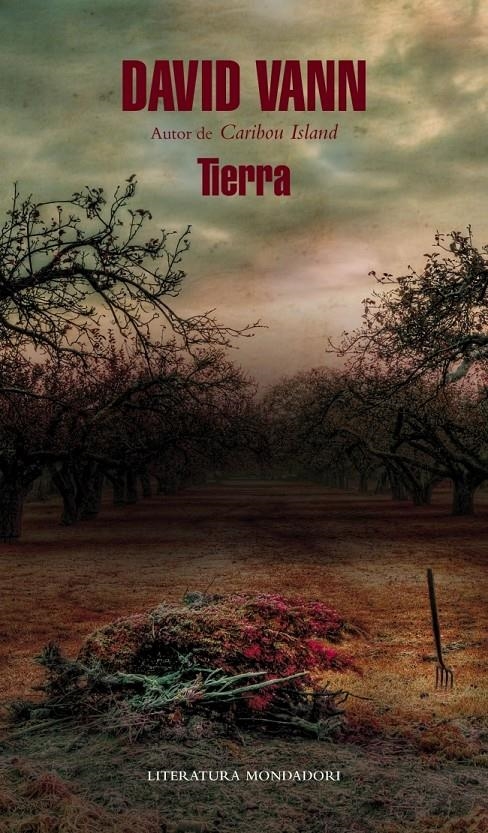 TIERRA | 9788439726562 | VANN,DAVID | Llibreria Online de Banyoles | Comprar llibres en català i castellà online
