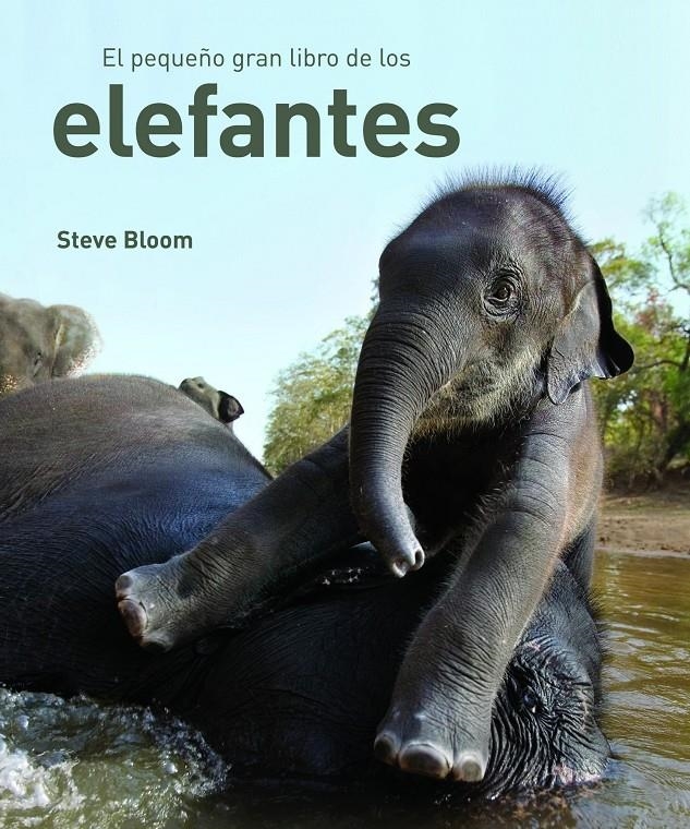EL PEQUEÑO GRAN LIBRO DE LOS ELEFANTES | 9788497543057 | BLOOM, STEVE | Llibreria L'Altell - Llibreria Online de Banyoles | Comprar llibres en català i castellà online - Llibreria de Girona