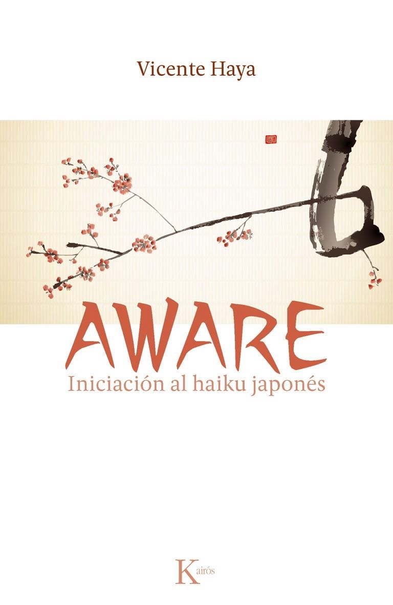 AWARE | 9788499882451 | HAYA, VICENTE | Llibreria L'Altell - Llibreria Online de Banyoles | Comprar llibres en català i castellà online - Llibreria de Girona