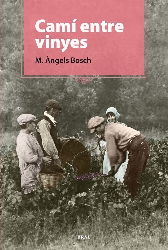 CAMÍ ENTRE VINYES | 9788496905924 | BOSCH CASTELLÓ, M. ÀNGELS | Llibreria L'Altell - Llibreria Online de Banyoles | Comprar llibres en català i castellà online - Llibreria de Girona