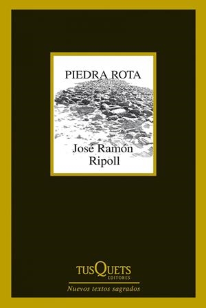 PIEDRA ROTA | 9788483834787 | JOSÉ RAMÓN RIPOLL | Llibreria Online de Banyoles | Comprar llibres en català i castellà online