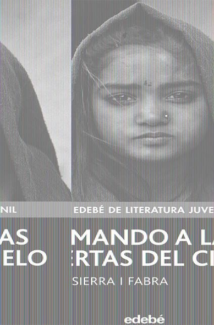 LLAMANDO A LAS PUERTAS DEL CIELO | 9788423680726 | SIERRA I FABRA, JORDI | Llibreria L'Altell - Llibreria Online de Banyoles | Comprar llibres en català i castellà online - Llibreria de Girona