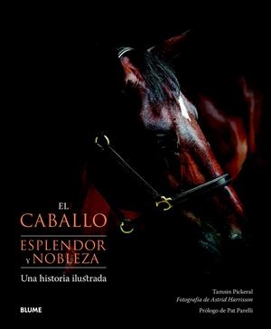 CABALLO, EL. ESPLENDOR Y NOBLEZA | 9788415317074 | PICKERAL, TAMSIN/HARRISSON, ASTRID | Llibreria L'Altell - Llibreria Online de Banyoles | Comprar llibres en català i castellà online - Llibreria de Girona