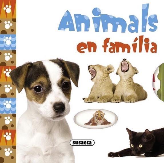 ANIMALS EN FAMÍLIA | 9788467717228 | APSLEY, BRENDA | Llibreria L'Altell - Llibreria Online de Banyoles | Comprar llibres en català i castellà online - Llibreria de Girona