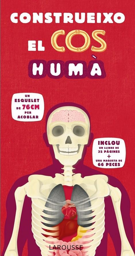 CONSTRUEIXO EL COS HUMÀ | 9788415785408 | Llibreria Online de Banyoles | Comprar llibres en català i castellà online