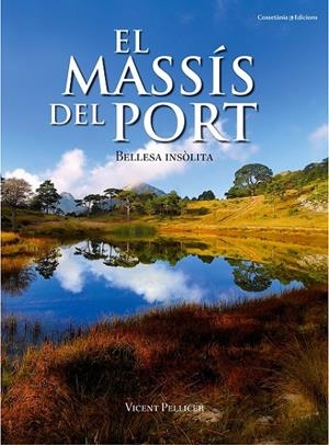 MASSÍS DEL PORT, EL | 9788490341834 | PELLICER OLLÉS, VICENT | Llibreria L'Altell - Llibreria Online de Banyoles | Comprar llibres en català i castellà online - Llibreria de Girona