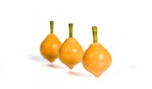 BALDUFA LEMON TOP | BF034 | Llibreria L'Altell - Llibreria Online de Banyoles | Comprar llibres en català i castellà online - Llibreria de Girona