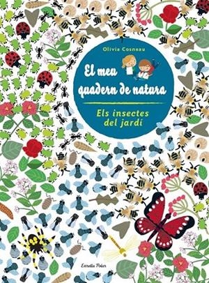 INSECTES. EL MEU QUADERN DE NATURA | 9788490572498 | Llibreria Online de Banyoles | Comprar llibres en català i castellà online