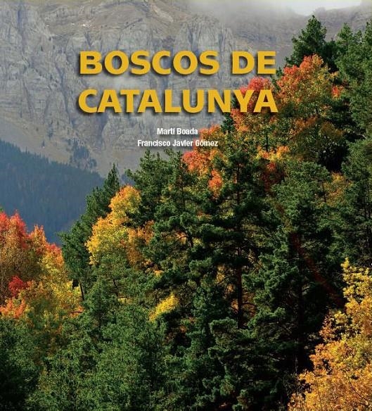 BOSCOS DE CATALUNYA | 9788497859318 | BOADA, MARTÍ | Llibreria L'Altell - Llibreria Online de Banyoles | Comprar llibres en català i castellà online - Llibreria de Girona