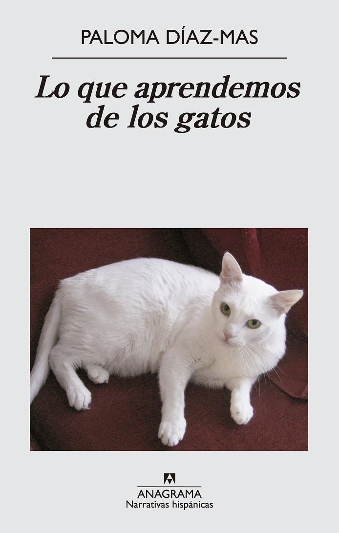 QUE APRENDEMOS DE LOS GATOS, LO | 9788433997807 | DÍAZ MAS, PALOMA | Llibreria Online de Banyoles | Comprar llibres en català i castellà online