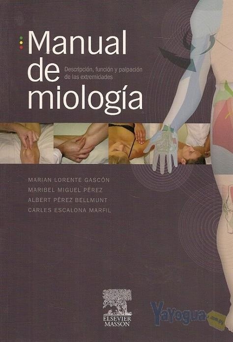 MANUAL DE MIOLOGIA, DESCRIPCION, FUNCIÓN Y.. | 9788445817582 | ALBERT PEREZ BELLMUNT - MARIBEL MIGUEL PEREZ | Llibreria L'Altell - Llibreria Online de Banyoles | Comprar llibres en català i castellà online - Llibreria de Girona