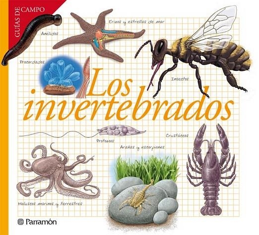 LOS INVERTEBRADOS | 9788434240599 | BARRES MANUEL, JOSEP M. | Llibreria L'Altell - Llibreria Online de Banyoles | Comprar llibres en català i castellà online - Llibreria de Girona