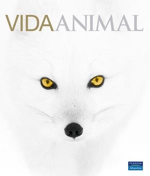 VIDA ANIMAL | 9788420555829 | UHLENBROEK, CHARLOTTE | Llibreria L'Altell - Llibreria Online de Banyoles | Comprar llibres en català i castellà online - Llibreria de Girona