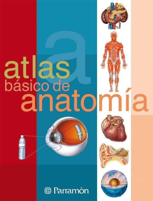 ATLAS BASICO DE ANATOMIA | 9788434223141 | CASSAN, ADOLFO/MUÑOZ TENLLADO, ANTONIO | Llibreria L'Altell - Llibreria Online de Banyoles | Comprar llibres en català i castellà online - Llibreria de Girona
