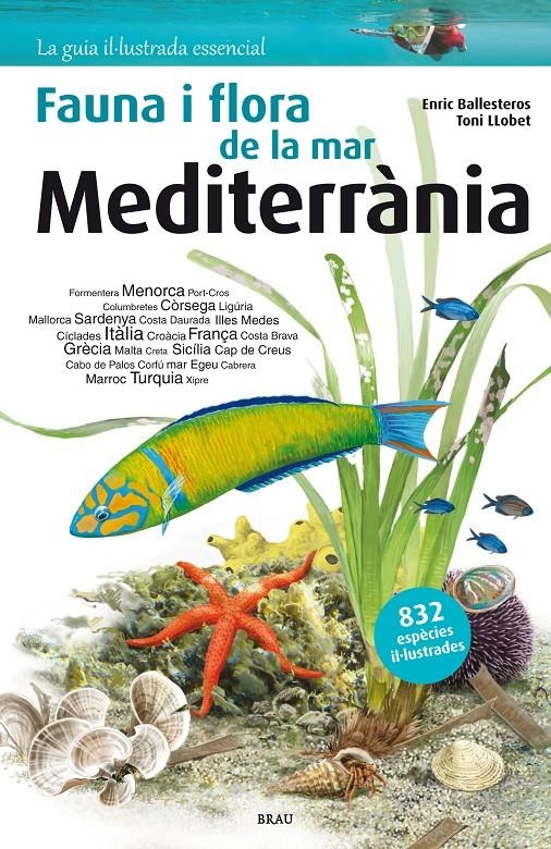 FAUNA I FLORA DE LA MAR MEDITERRÀNIA | 9788415885252 | BALLESTEROS SAGARRA, ENRIC | Llibreria L'Altell - Llibreria Online de Banyoles | Comprar llibres en català i castellà online - Llibreria de Girona