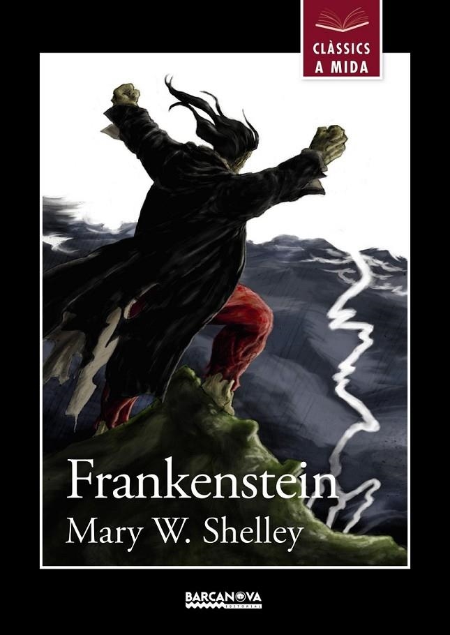 FRANKENSTEIN | 9788448934927 | SHELLEY, MARY W. | Llibreria Online de Banyoles | Comprar llibres en català i castellà online