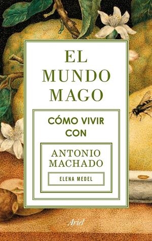 MUNDO MAGO, EL | 9788434422353 | MEDEL, ELENA | Llibreria L'Altell - Llibreria Online de Banyoles | Comprar llibres en català i castellà online - Llibreria de Girona