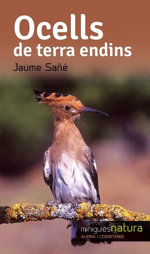 OCELLS TERRA ENDINS | 9788490343357 | SAÑÉ, JAUME | Llibreria L'Altell - Llibreria Online de Banyoles | Comprar llibres en català i castellà online - Llibreria de Girona