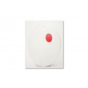 OJO DE MIRÓ, EL | 9788416248179 | MORAL, JEAN-MARIE DEL | Llibreria Online de Banyoles | Comprar llibres en català i castellà online