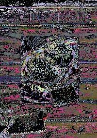 COCINA VEGANA | 9788466226844 | PAZ VALDÉS, MARIA | Llibreria L'Altell - Llibreria Online de Banyoles | Comprar llibres en català i castellà online - Llibreria de Girona