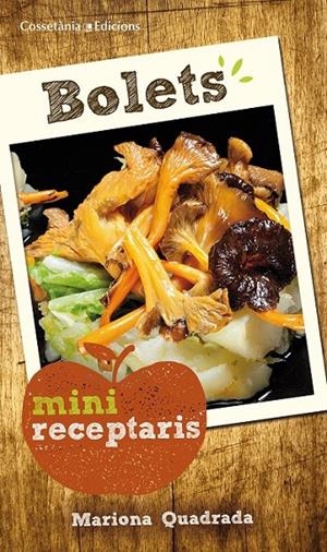 BOLETS | 9788490343616 | QUADRADA MONTEVERDE, MARIONA | Llibreria Online de Banyoles | Comprar llibres en català i castellà online