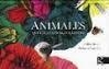ANIMALES QUE HACEN COSAS EN SILENCIO | 9788415250937 | BOSCH, LOLITA/LUCIANI, REBECCA | Llibreria L'Altell - Llibreria Online de Banyoles | Comprar llibres en català i castellà online - Llibreria de Girona