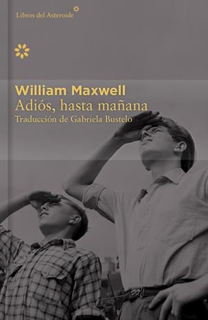 ADIÓS, HASTA MAÑANA - COLECCIÓN DÉCIMO ANIVERSARIO | 9788416213405 | MAXWELL, WILLIAM | Llibreria Online de Banyoles | Comprar llibres en català i castellà online
