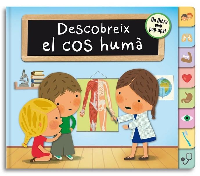 DESCOBREIX EL COS HUMÀ | 9788448844332 | BONAVISTA, JOSE IGNACIO/GEIS CONTI, PATRIC | Llibreria L'Altell - Llibreria Online de Banyoles | Comprar llibres en català i castellà online - Llibreria de Girona