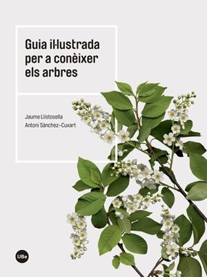GUIA IL·LUSTRADA PER A CONÈIXER ELS ARBRES | 9788447542444 | LLISTOSELLA, JAUME/SANCHEZ CUIXART, ANTONI | Llibreria Online de Banyoles | Comprar llibres en català i castellà online